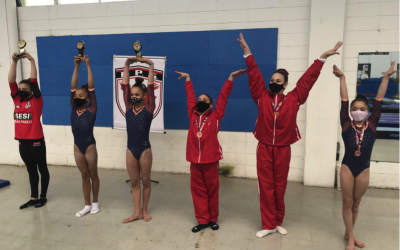 Campeonato Estadual Pré infantil e Juvenil